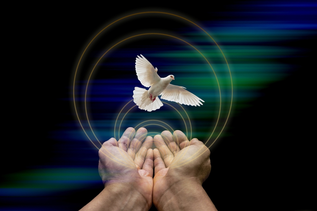 02 Día internacional de la convivencia en paz