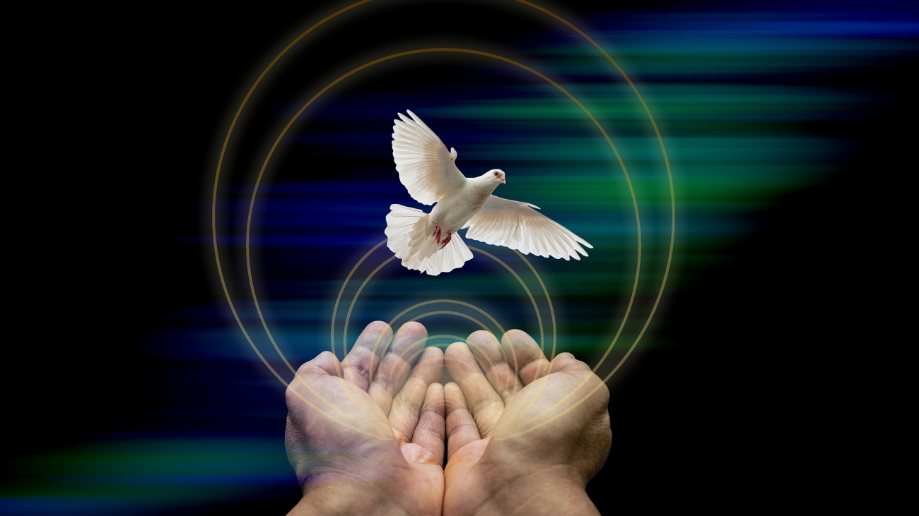 02 Día internacional de la convivencia en paz