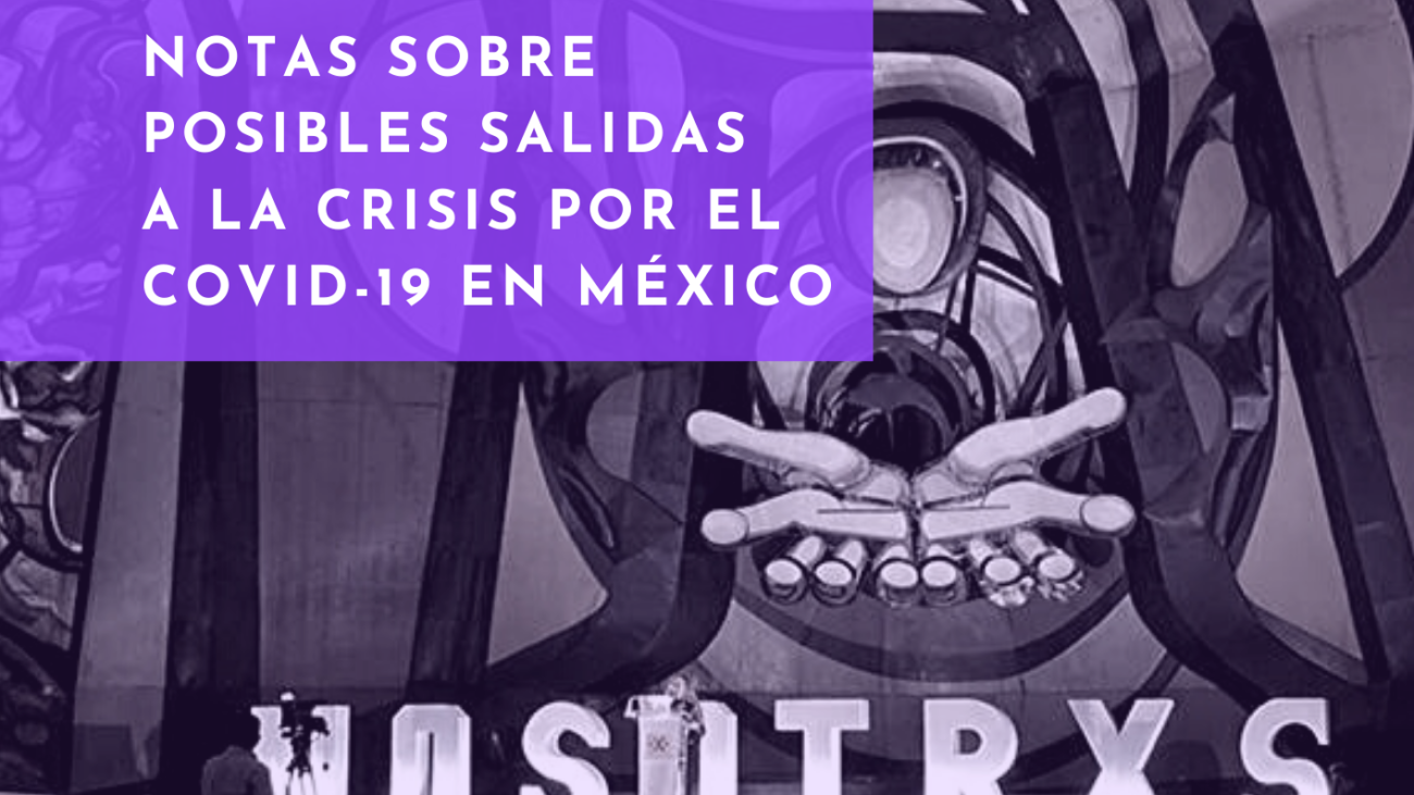 Notas sobre posibles salidas a la crisis por el COVID-19 en México